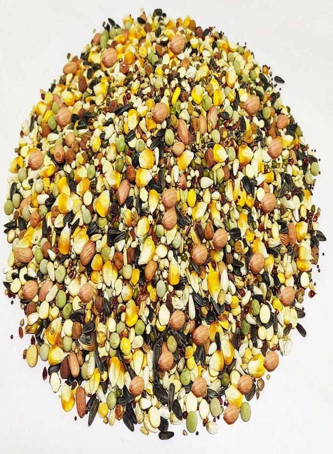 One Top Multi Mixed Seeds Nuts Natural Birds Foods 1KG for Cockatiel, Love Birds, Parrots, Budgies, Dove Grain and Seeds and All Eating Birds - Image 1